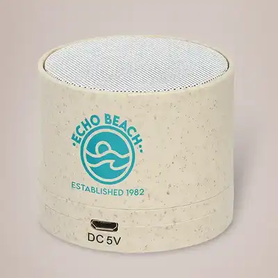 Portable Bluetooth Speaker beach scene