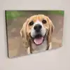 Landscape Canvas Print