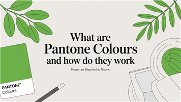 What Are Pantone Colours and How Do They Work